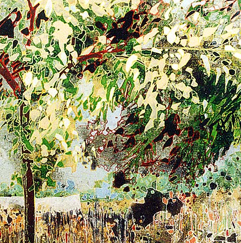 bookm-2000-cm110x110