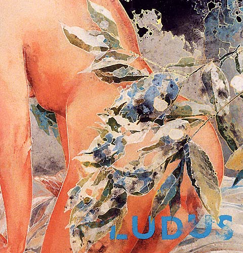 ludus meus-2001-cm80x80