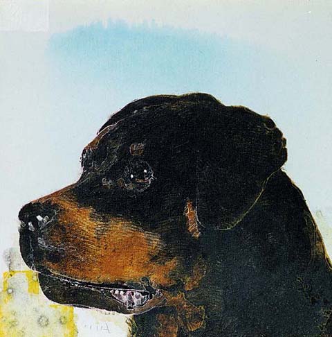 perla-2001-cm30x30